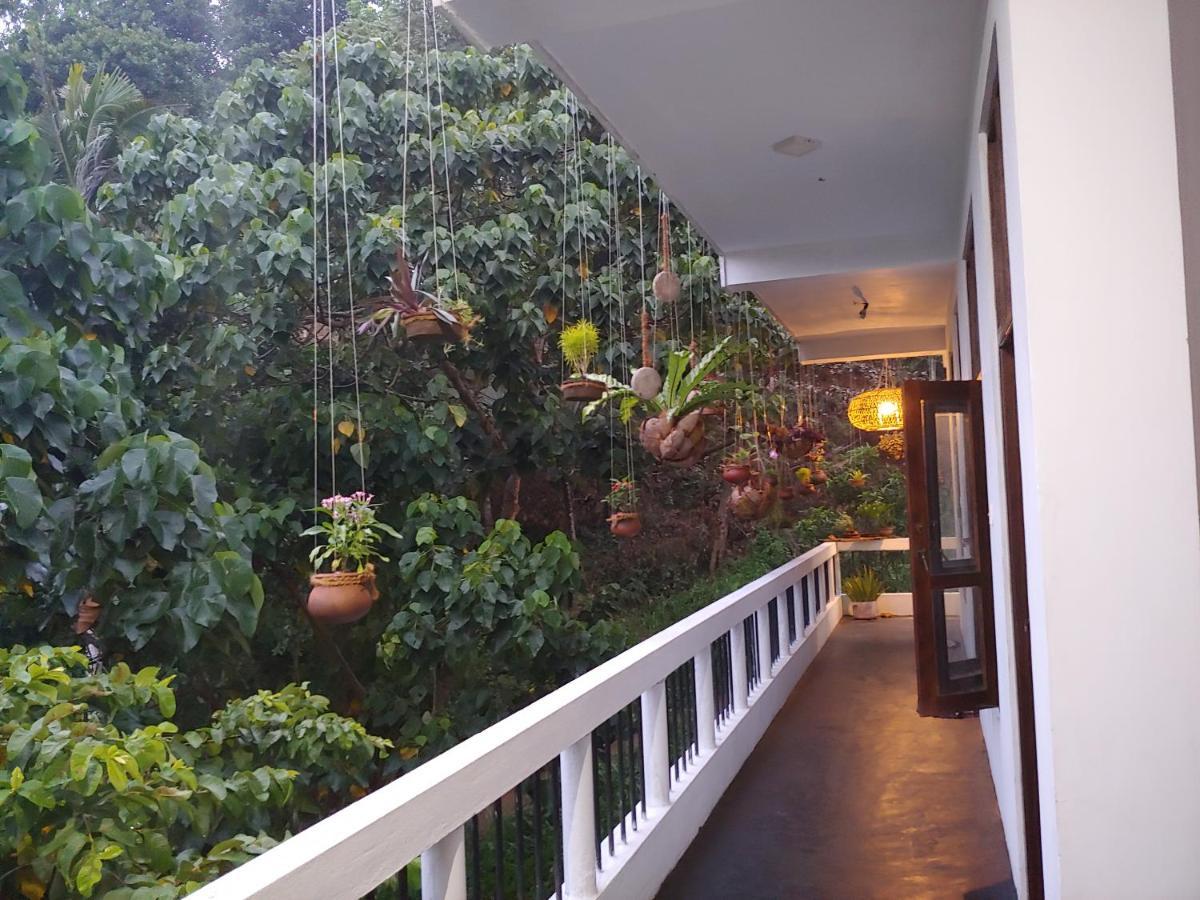Hotel Daasa Guest Mirissa Exterior foto